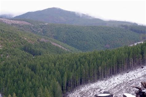 Larch Mountain (Washington County) - Hiking in Portland, Oregon and ...