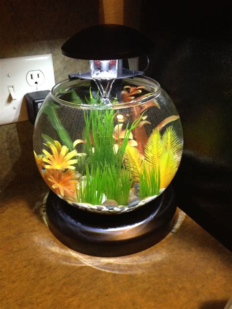 Betta fish bowl with waterfall filter and heater. | Betta obsession ...