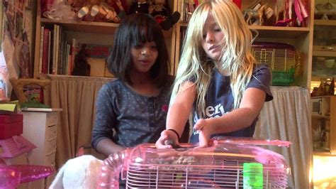 Baby Hamster Care - YouTube