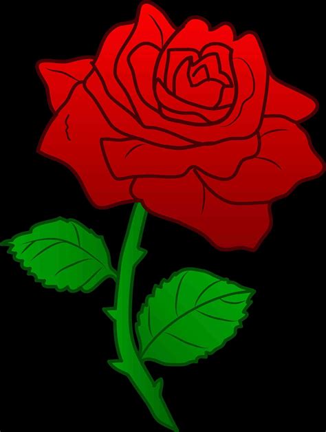 Animated Red Rose Flower Images | Best Flower Site