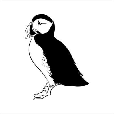 Puffin Bird Vector Art, Icons, and Graphics for Free Download