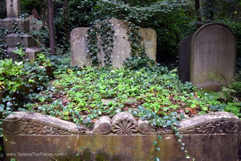 Oh, the places we will go!: Highgate Cemetery London