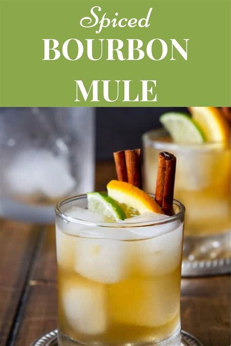 Spiced Bourbon Mule | Mule recipe, Ginger beer recipe, Mule cocktail recipe