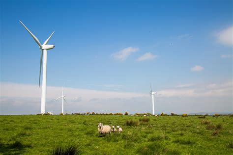 Wind Power Plant Free Stock Photo - Public Domain Pictures