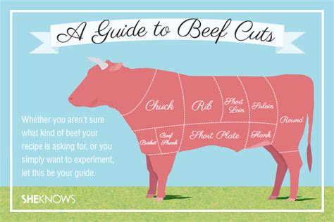 A guide to beef cuts – SheKnows