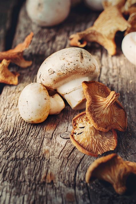 Le Creuset | Mushroom Foraging 101