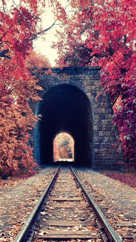 portrait Display, Nature, Trees, Fall, Leaves, Railway, Tunnel, Red ...