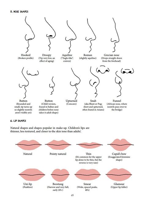 Female Chart Nose Types