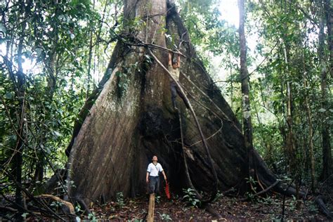 Photos of Iquitos Peru - Amazon Jungle in Feb 2002