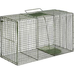 Best Coyote Live Traps for Sale 2020 - Consumer Guides