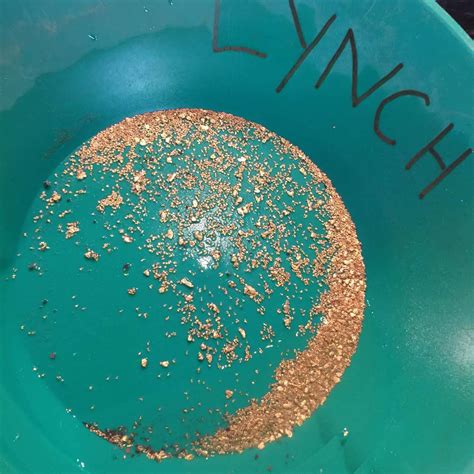 750 Grams Of Gold Guaranteed - Reserve Paydirt™ — Lynch Mining, LLC®