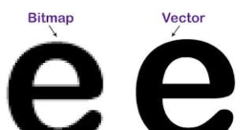 The Difference between Vector and Bitmap files - Stickernut