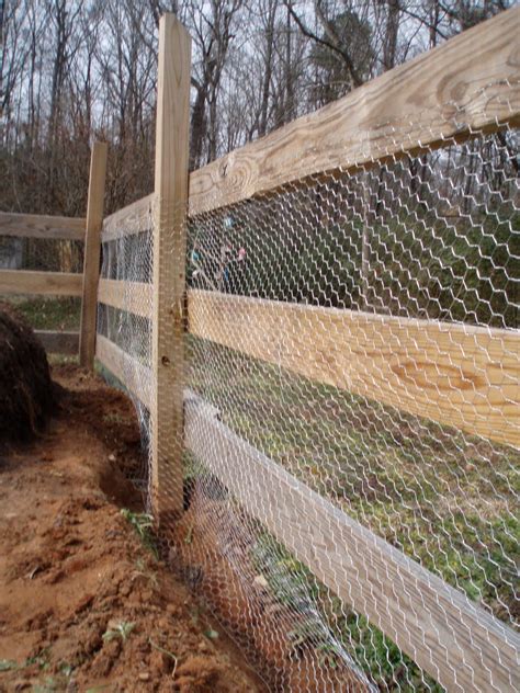 chicken wire fence ideas | Posted by Matthew Bush at 3:03 PM | Remodel ...