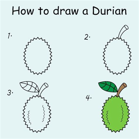 Premium Vector | Step by step to draw a durian. drawing tutorial a ...