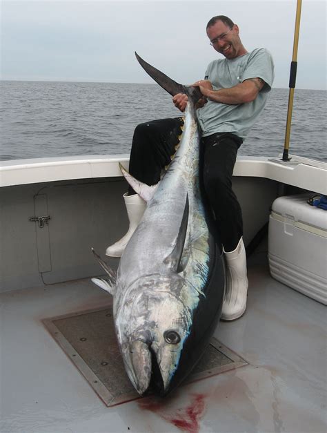 Tuna Fishing Charters in Massachusetts Catch Bluefin Tuna.