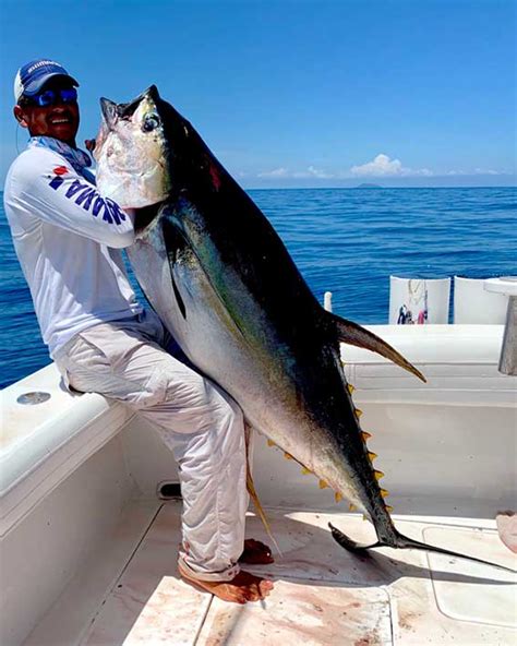 Panama Tuna Fishing - Sport fishing’s toughest challenge