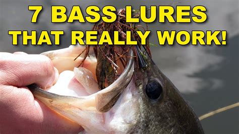 7 Best Bass Lures That Work Year Round | Bass Fishing – Bass Manager ...