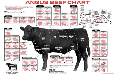 Beef Basics