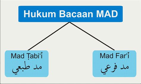 Macam Macam Hukum Bacaan Tajwid Mad Beserta Contohnya Lengkap | Porn ...