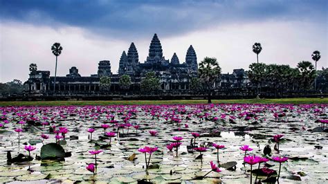 Angkor Wat HD Wallpaper | PixelsTalk.Net