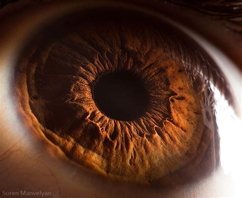 'Your Beautiful Eyes' - Amazing Close-Up Photos Of Human Eyes By Suren ...