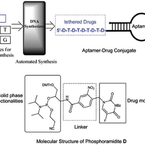 (A) Automated and modular synthesis of aptamer-drug conjugates from ...