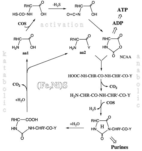 Life | Special Issue : The Origins and Early Evolution of RNA