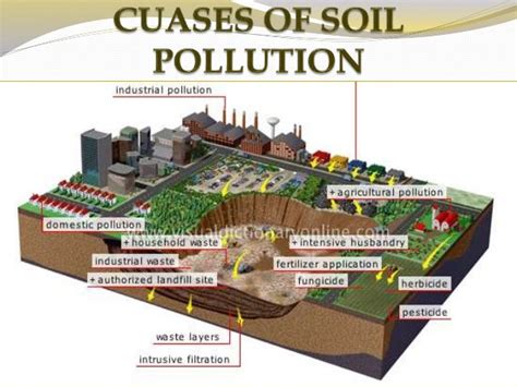 😍 Soil pollutants and their sources. What are the different types of ...