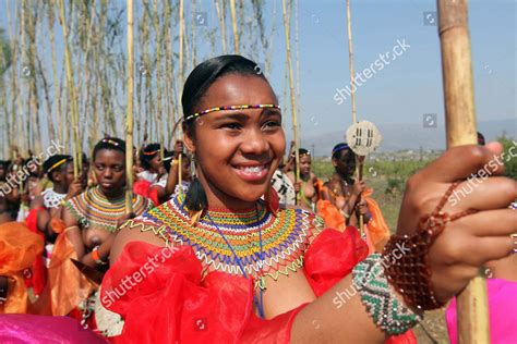 South Africa Zulu Reed Dance Ceremony Zulu Reed Dance