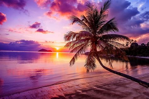 1920x1080px, 1080P free download | Tropical sunset, ocean, sunset ...