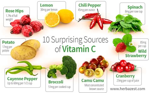 10 Surprising Sources of Vitamin C | HerbaZest