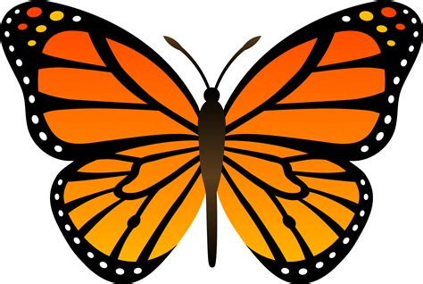 Orange Monarch Butterfly Vector - Free Clip Art