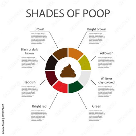 Shades of color poop chart. Poop icon. Human feces color. Healthy ...