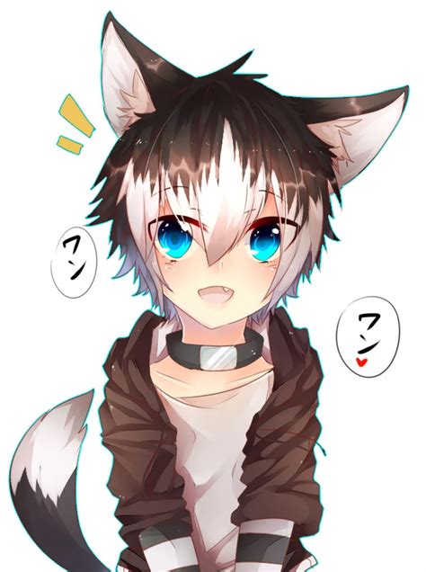 Image result for anime guy with wolf ears | Anime cat boy, Wolf boy ...