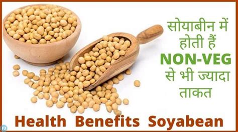 Soya Bean Benefits सोयाबीन खाने के जबरदस्त फायदे और नुकसान