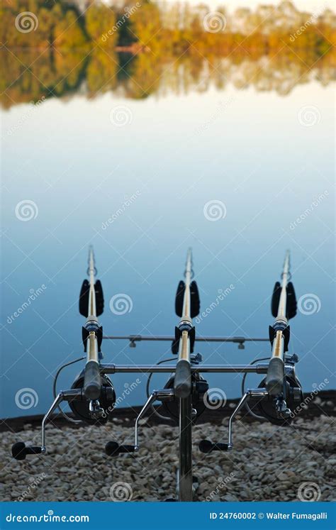 Carp fishing rods stock photo. Image of outdoor, leisure - 24760002