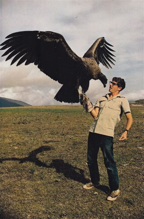 Andean Condor is the only soaring bird that can fly for 172 km (100 ...