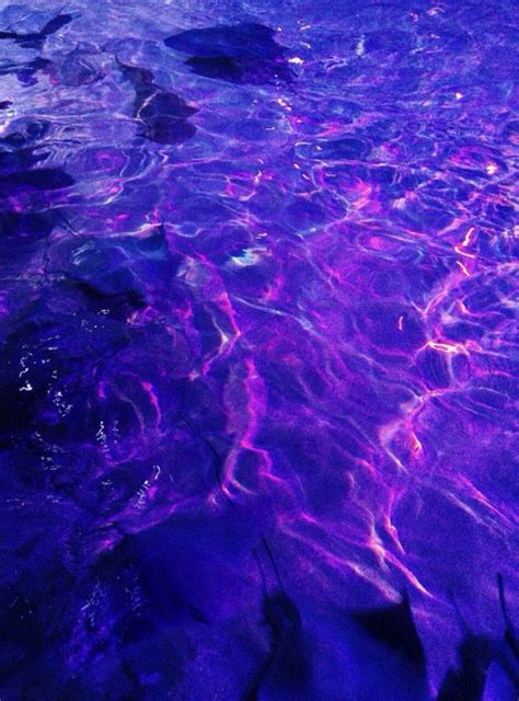 everything will glow for you | Dark purple aesthetic, Purple aesthetic ...