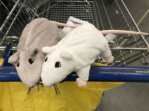 Ikea 10 Rat 0 | Ikea Poland