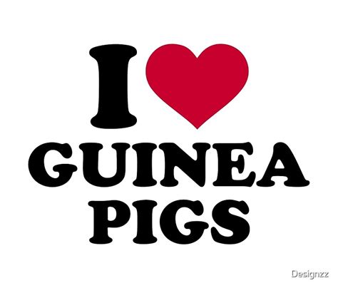 "I love Guinea pigs" Travel Mugs by Designzz | Redbubble