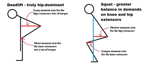 Squat Vs. Deadlift? — MyFitnessPal.com