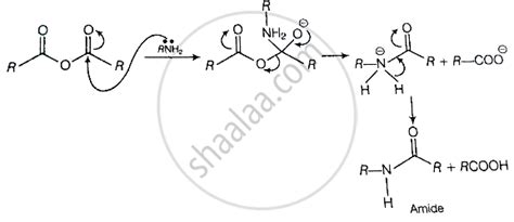 Acid anhydride on reaction with primary amine gives compound having a ...