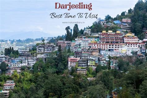 Darjeeling Weather, Temperature, And Best Time To Visit