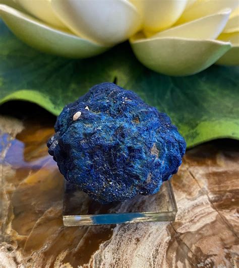 Azurite Nodule Concepción Del Oro Mine AZ6 - Etsy