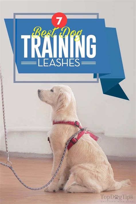 The 7 Best Dog Training Leashes | Dog leash training, Best dog training ...