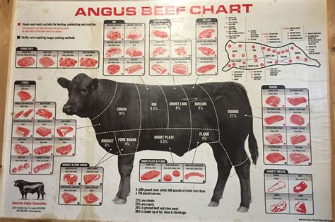 Beef cow Angus Meat | Cow meat, Beef cuts, Beef cuts chart