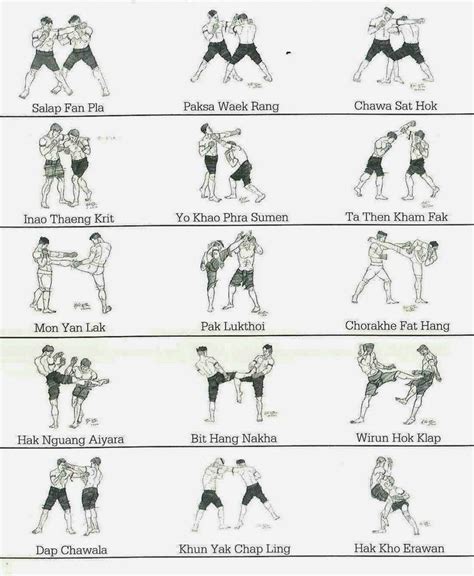 Effective Muay Thai techniques: how to dominate in the ring | Muay thai ...