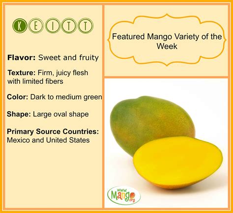 Keitt Mango | Mango varieties, Health and nutrition, Food forest