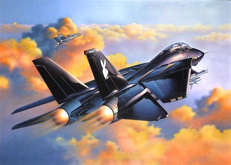 Download Military Grumman F-14 Tomcat HD Wallpaper