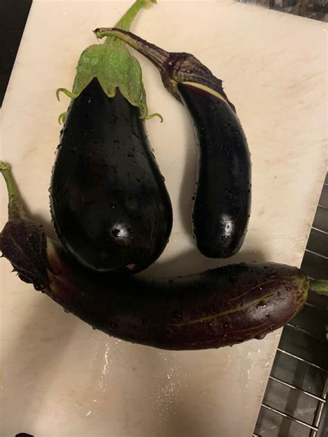 Harvest in 2020 | Harvest, Eggplant, Vegetables